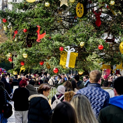 Πολίτες στο στολισμένο Σύνταγμα