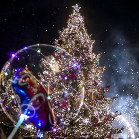 Χριστούγεννα στην πλατεία Συντάγματος. 