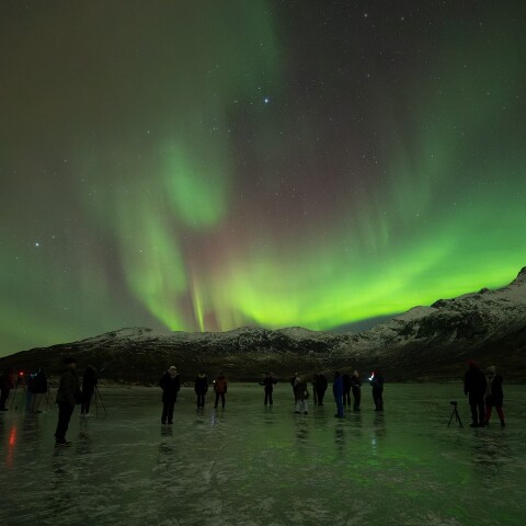 Βόρειο Σέλλας