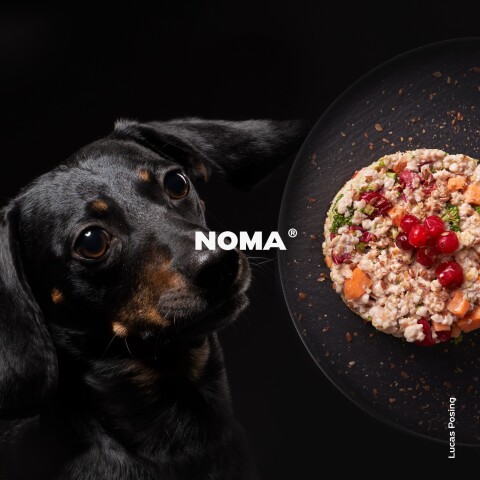 Σκύλος με τροφή ΝΟΜΑ