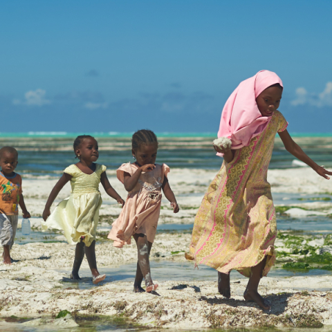 Η ιδέα του συμψηφισμού του χρέους με τις κλιματικές υποχρεώσεις και η ηθική ευθύνη της Δύσης απέναντι στον Τρίτο Κόσμο.