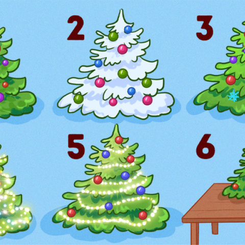 O τρόπος που έχετε στολίσει το χριστουγεννιάτικο δέντρο αποκαλύπτει πολλά για την προσωπικότητά σας