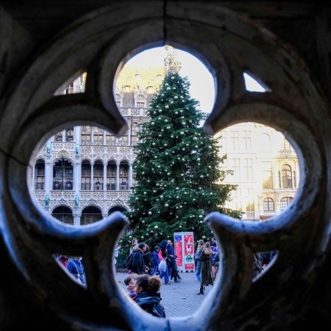 Χριστουγεννιάτικο δέντρο σε πλατεία στις Βρυξέλλες