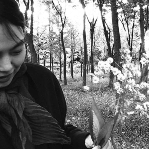 Κριτική ταινίας: Η ιστορία μιας μυθιστοριογράφου (The novelist's film)