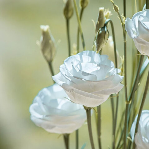 eortologio-31-dekemvriou