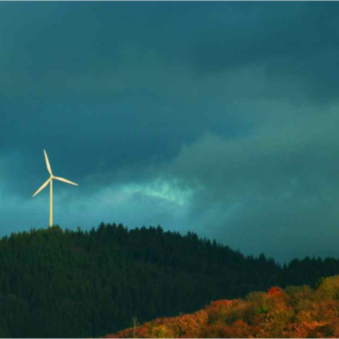 Αιολικό πάρκο στο δάσος στα περίχωρα του Φράϊμπουργκ της Γερμανίας. Δεξιά η κορυφή του καθεδρικού ναού