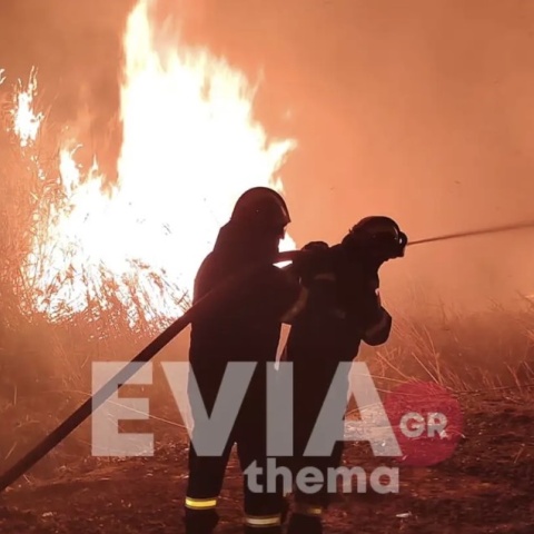 Πυροσβέστες επιχειρούν για την κατάσβεση φωτιάς