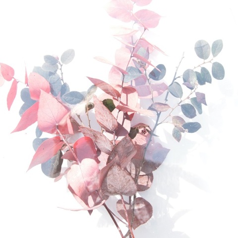 Εορτολόγιο: Σήμερα 11 Ιανουαρίου γιορτάζει…