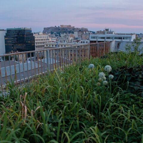 Βιετναμέζικος κήπος