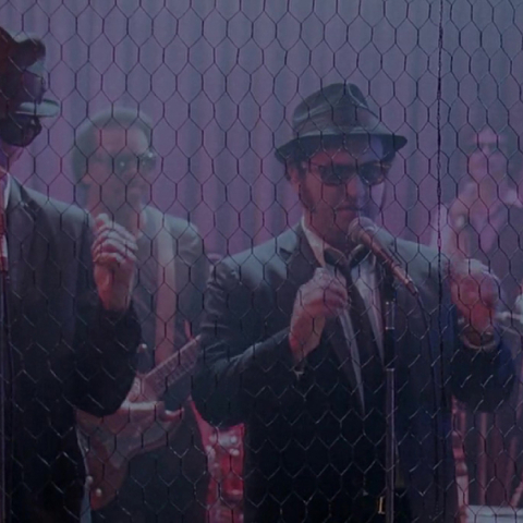 The Blues Brothers - Stand by your man