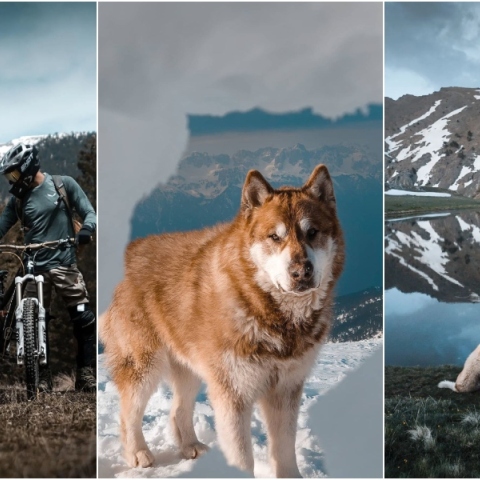 Έκτορας, η μασκότ του ορειβατικού ξενώνα «Munti Smolikas»