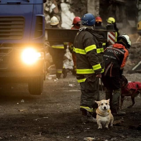 Η μαρτυρική Ουκρανία παλεύει με ό,τι μέσα έχει, σε όλους τους τομείς