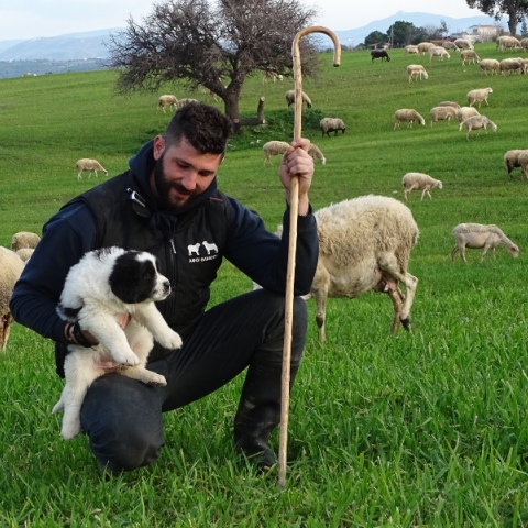 Φρουροί των Αγράφων