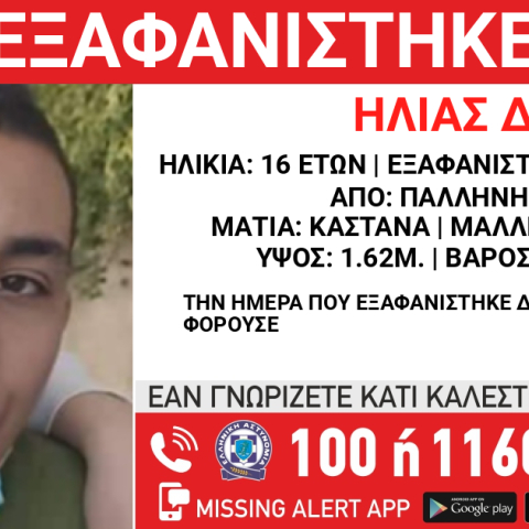 exafanisi_pallini_16xronos