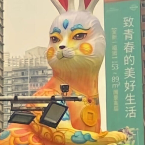 rabbit-china