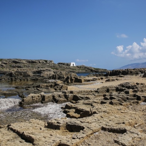 Παγκόσμια περιβαλλοντική πρωτιά του τουριστικού λιμένα Σκύρου στον διεθνή διαγωνισμό της Blue Flag Global - Εκπαίδευση για την Κλιματική Αλλαγή/Κλιματική Δράση.