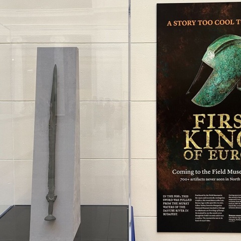 Αυθεντικό ξίφος 3.000 ετών από την Εποχή του Χαλκού εκτίθεται στο Field Museum στο Σικάγο - Το θεωρούσαν αντίγραφο για σχεδόν έναν αιώνα.