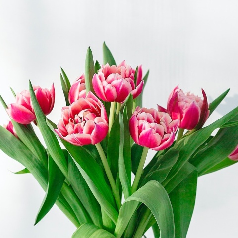 Μπουκέτο με λουλούδια