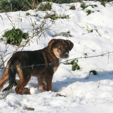 Χιόνια στο Πήλιο