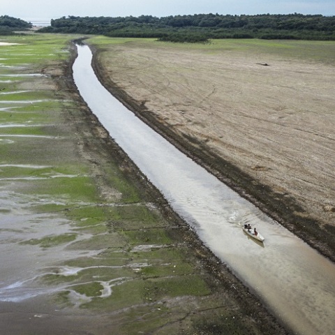 Έρευνα: Η ανθρώπινη δραστηριότητα και η ξηρασία «υποβαθμίζουν περισσότερο από το ένα τρίτο του τροπικού δάσους του Αμαζονίου».