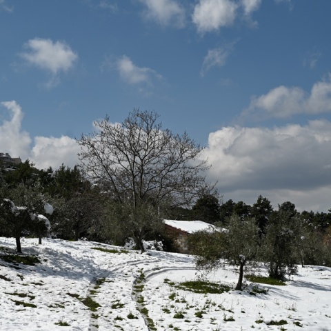 Καλυμμένη από χιόνι περιοχή στον Διόνυσο 