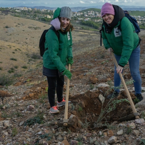 Η ανταπόκριση των εθελοντών που οδήγησε σε χιλιάδες φυτεύσεις