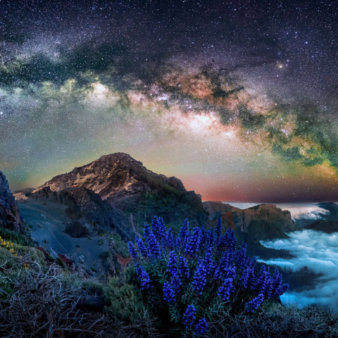 Garden Photographer of the Year 2023: Οι νικητές του διεθνούς διαγωνισμός φωτογραφίας κήπου, που διεξάγεται από το Royal Botanic Gardens του Λονδίνου.