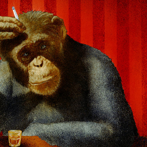 Will Bullas, «Monkey bars... he said...» (2010)