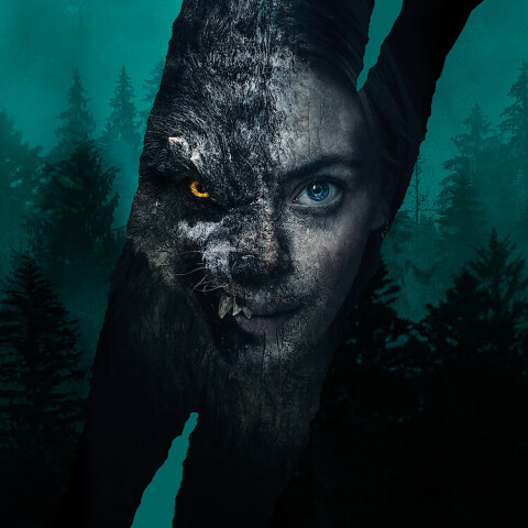 Viking Wolf - Netflix