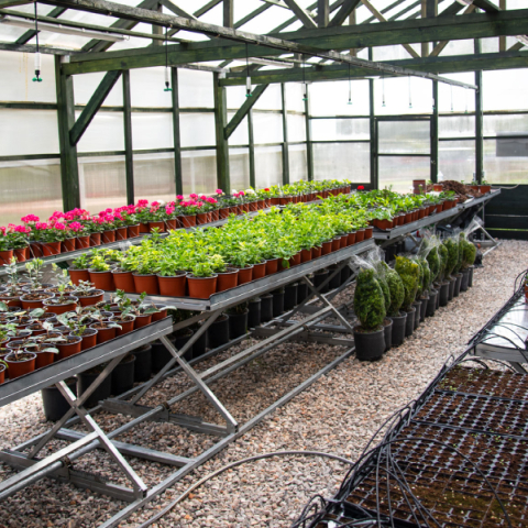 Η Νέα Σμύρνη απέκτησε το δικό της θερμοκήπιο