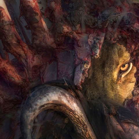 Travel Photographer of the Year: Ανακοινώθηκαν οι νικητές του διαγωνισμού ταξιδιωτικής φωτογραφίας - Οι Έλληνες δημιουργοί που ξεχώρισαν ανάμεσα σε 154 χώρες.