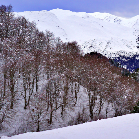 Ανήλιο, Ιωάννινα.