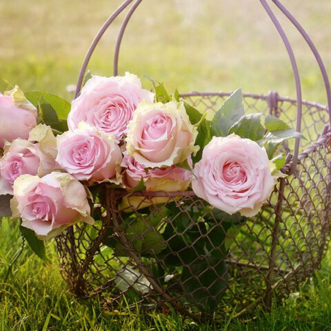 eortologio-18-fevrouariou