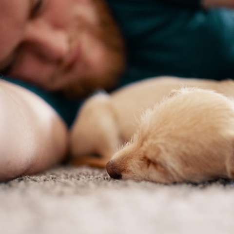 Έρευνες δείχνουν ότι οι άνθρωποι χρειάζονται περισσότερο ύπνο τον χειμώνα - Γιατί είναι αναγκαίο να προσαρμόζονται οι συνήθειες ανάλογα με την εποχή.
