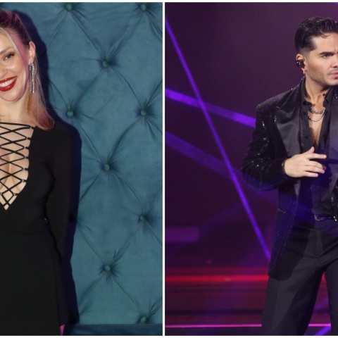 Χρήστος Μάστορας Γαρυφαλλιά Καληφώνη