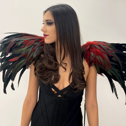 κοπέλα με αποκριάτικα φτερά 