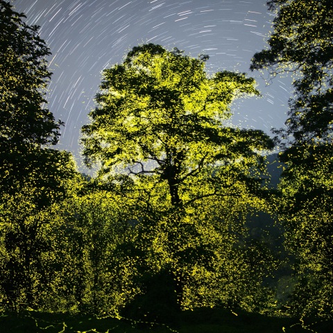 Sony World Photography Awards 2023: Ανακοινώθηκαν οι υποψηφιότητες και οι φιναλίστ στις 10 κατηγορίες του διαγωνισμού - Οι εντυπωσιακότερες εικόνες.