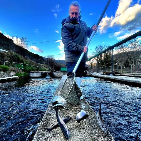 Karatzenis smoked fish