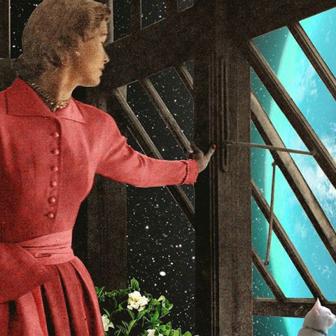 «Cats in Orbit». Γιάννης Ρουσάκης