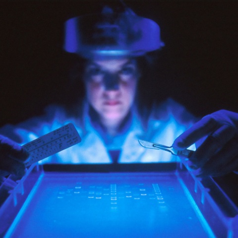 Γενετικές θεραπείες: Οι τεχνολογίες που «αλλάζουν το παιχνίδι» τα επόμενα χρόνια και τα ιατρικά και ηθικά ζητήματα που εγείρονται.