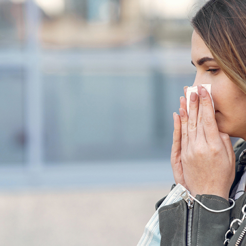 Εποχιακές αλλεργίες