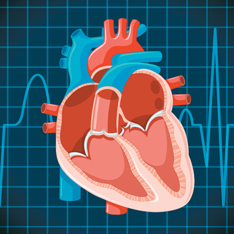 Διαδερμική επεμβατική θεραπεία: Το μέλλον στην αντιμετώπιση της καρδιακής ανεπάρκειας