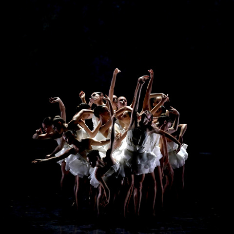 Ballet Preljocaj, "Η λίμνη των κύκνων"