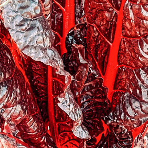 «Ο Κήπος των Εσπερίδων» της Αγνής Χρονοπούλου στην Art Zone Gallery 42