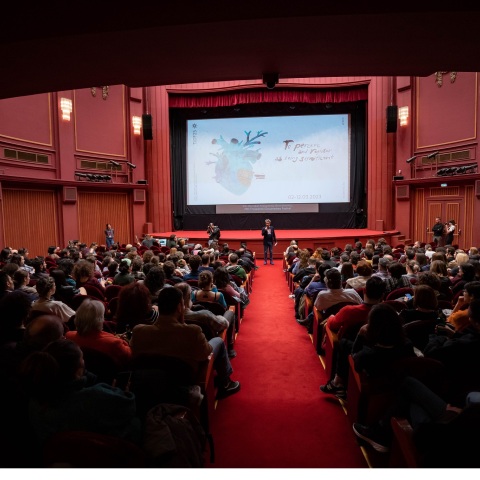 φεστιβαλ_ντικομαντερ_θεσσαλονικης