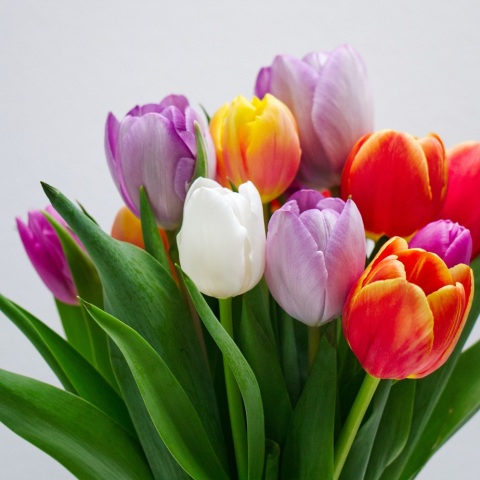 Ποιοι γιορτάζουν σήμερα 19 Μαρτίου; Το εορτολόγιο της Athens Voice σου τους θυμίζει. Μην ξεχάσεις να τους δώσεις τις καλύτερες ευχές σου!