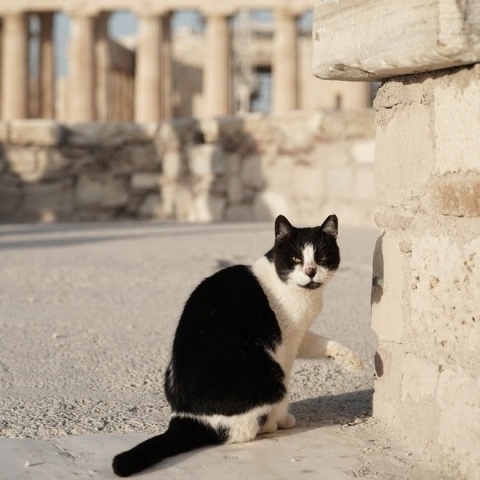 Ο καιρός σήμερα, Κυριακή 19 Μαρτίου: Βελτίωση, με ηλιοφάνεια και άνοδο θερμοκρασίας - Η πρόγνωση του Meteo και της Εθνικής Μετεωρολογικής Υπηρεσίας.