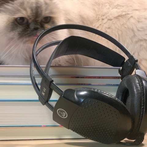 JukeBooks: Ένας μεγάλος κατάλογος που εμπλουτίζεται συνεχώς, ποιότητα στην αφήγηση και ελκυστική συνδρομητική τιμή.