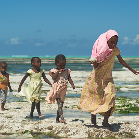 Ο υπερπληθυσμός χτυπάει κόκκινο