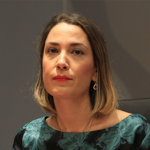 Φαίη Μακαντάση, Διευθύντρια Ερευνών, διαΝΕΟσις